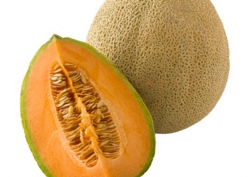Melon
